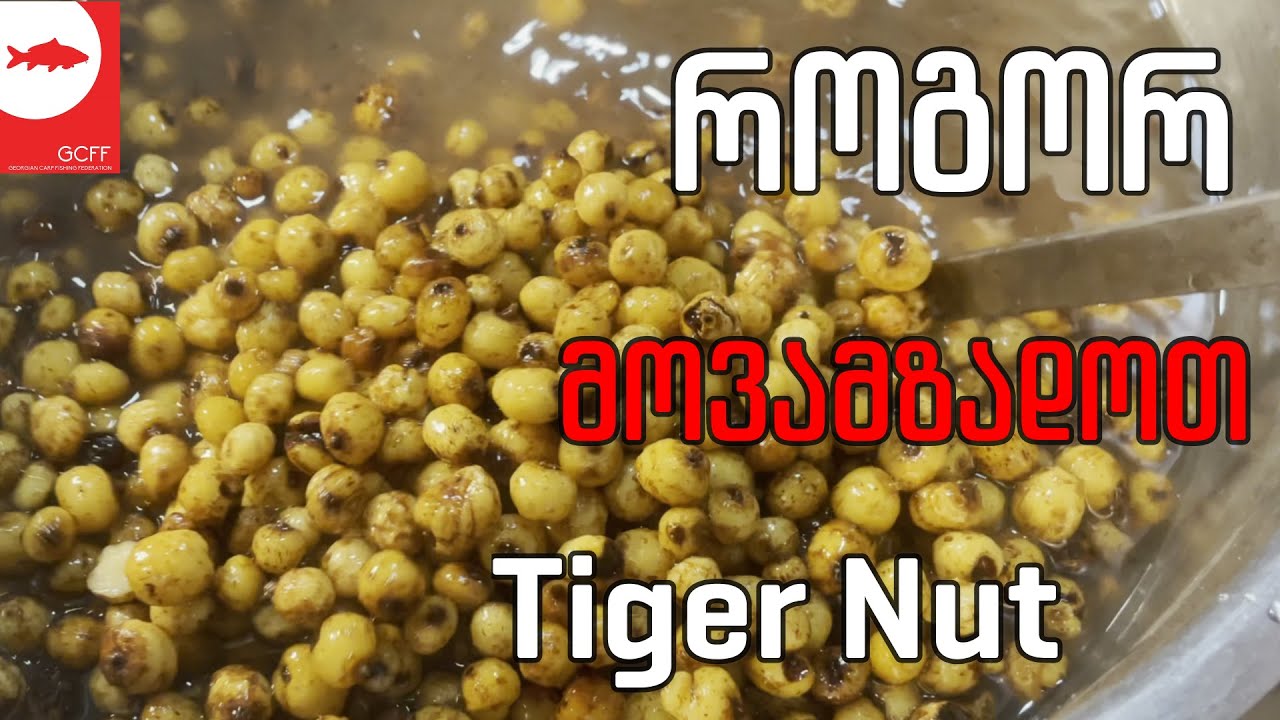 როგორ მოვამზადოთ Tiger Nut - ვეფხისებრი თხილი