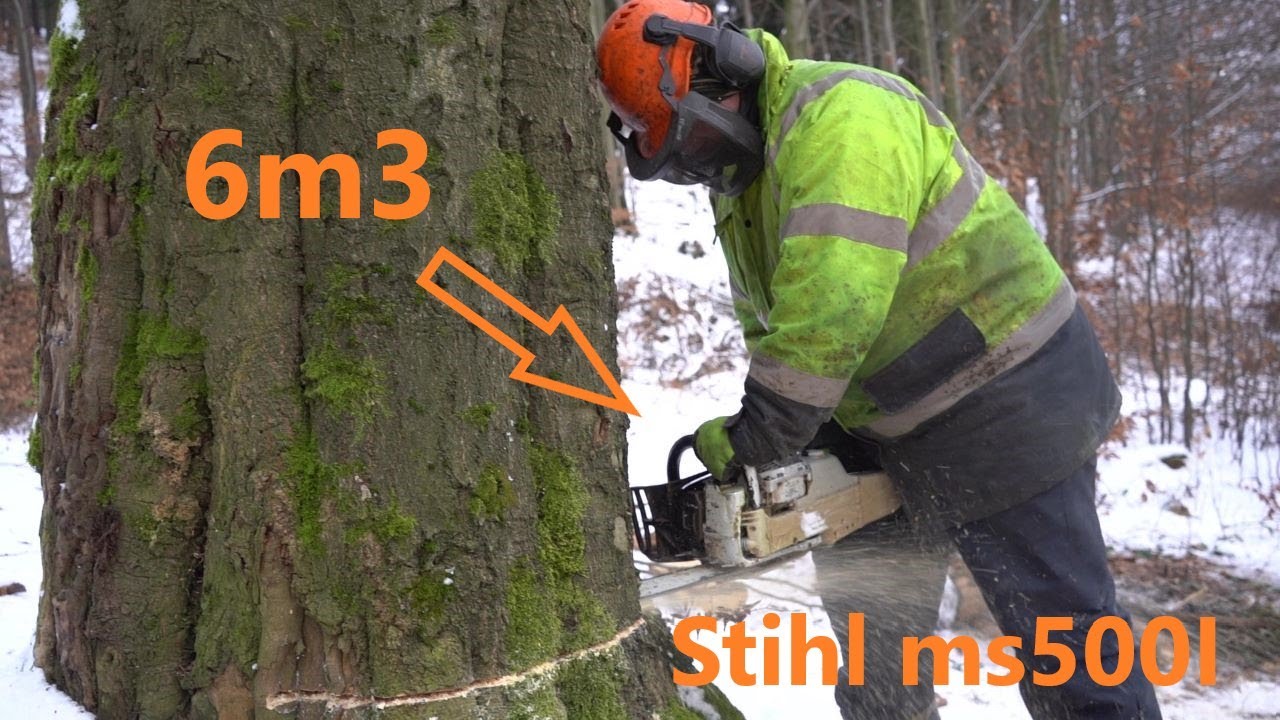 Stihl ms500I vs Big Tree, LKT 80