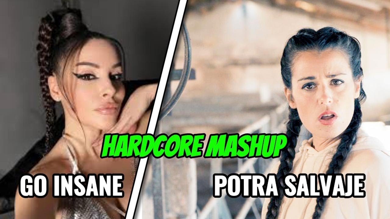 Potra salvaje & Go insane MIX [hardcore mashup] MEZCLOTE!!!!