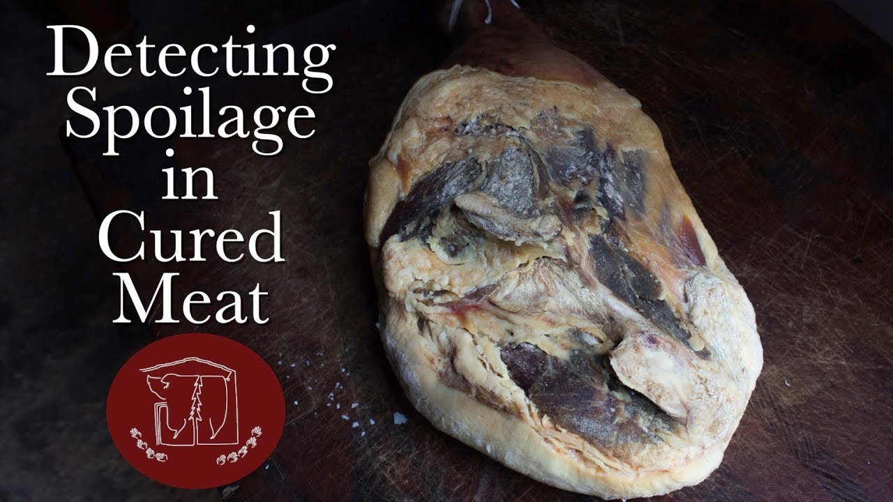Detecting Spoilage in Whole Muscle Cured Meat