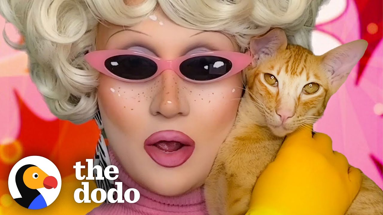 Juno Birch Finds A Cat Who's Her Perfect Match | The Dodo You Know Me Now Meet My Pet