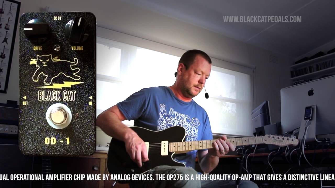 Black Cat Pedals : OD - 1 (aka 