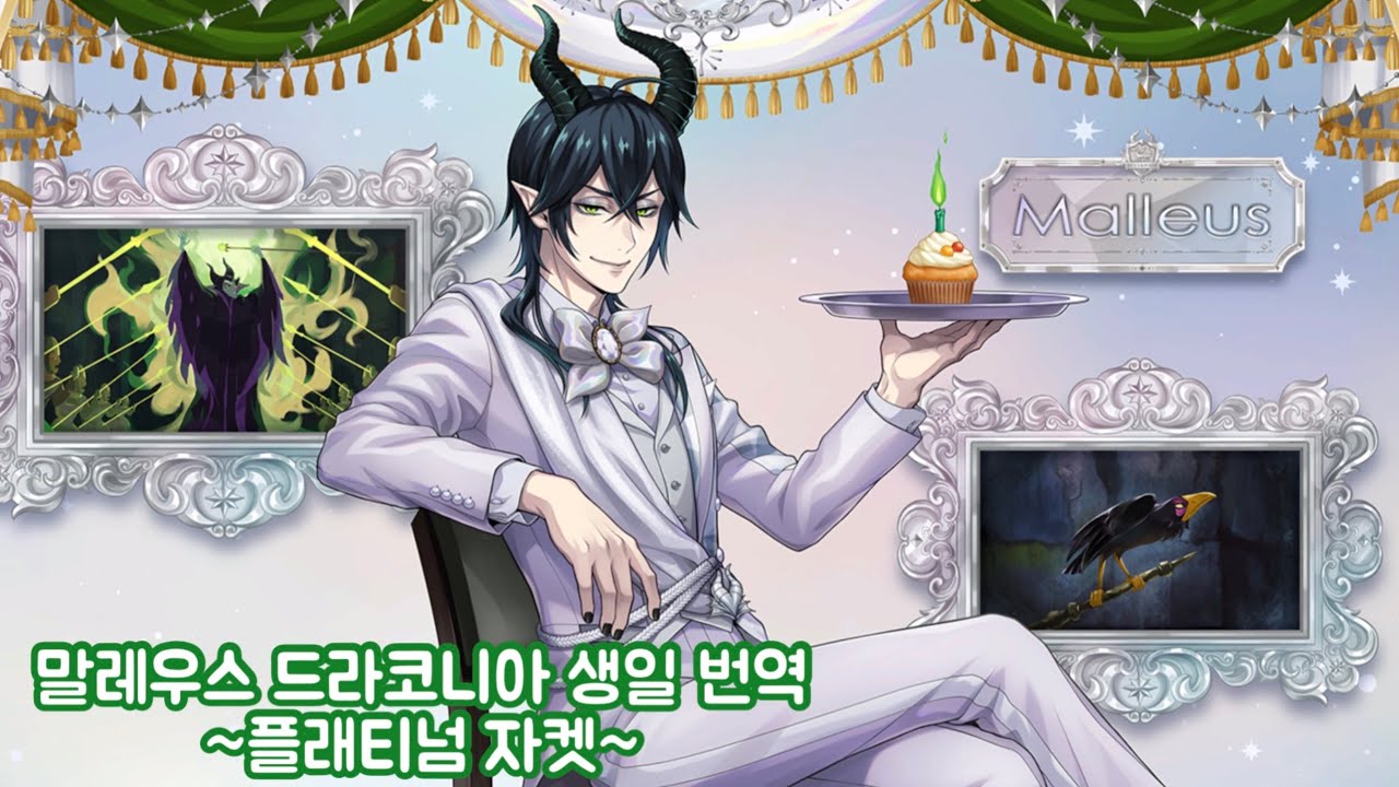 트위스테 말레우스 드라코니아 생일 번역 - 플래티넘 자켓
