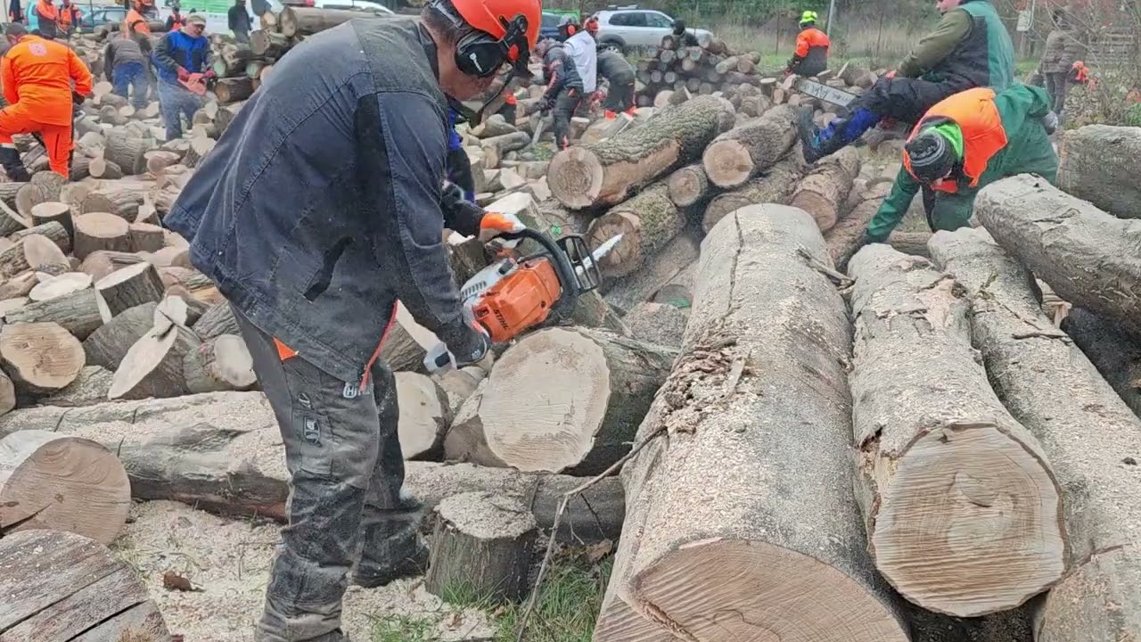2025.11.08. 140m3 szociális tűzifa összevágása Bánhorvátiban