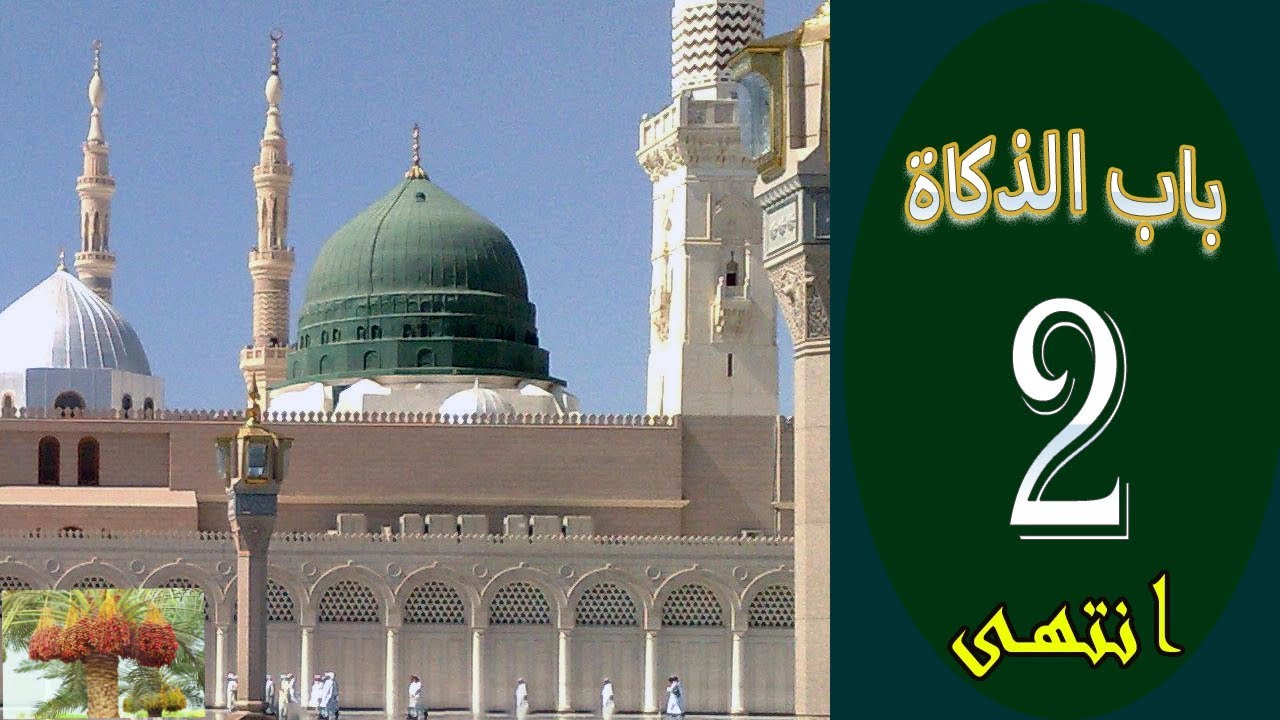 شرح كتاب مختصر العلامة خليل في الفقه المالكي للشيخ أحمد مولود الشنقيطي 