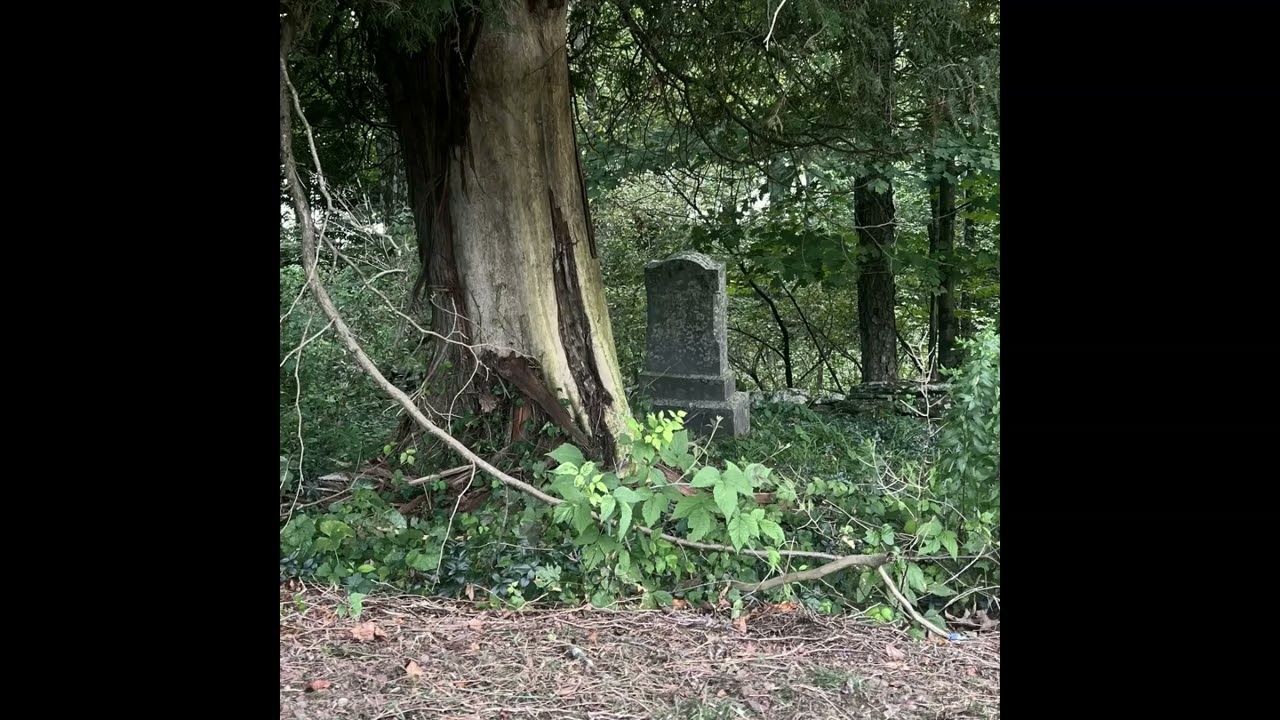 [FREE] killedmyself x bones x surrenderdorothy x greaf type beat 