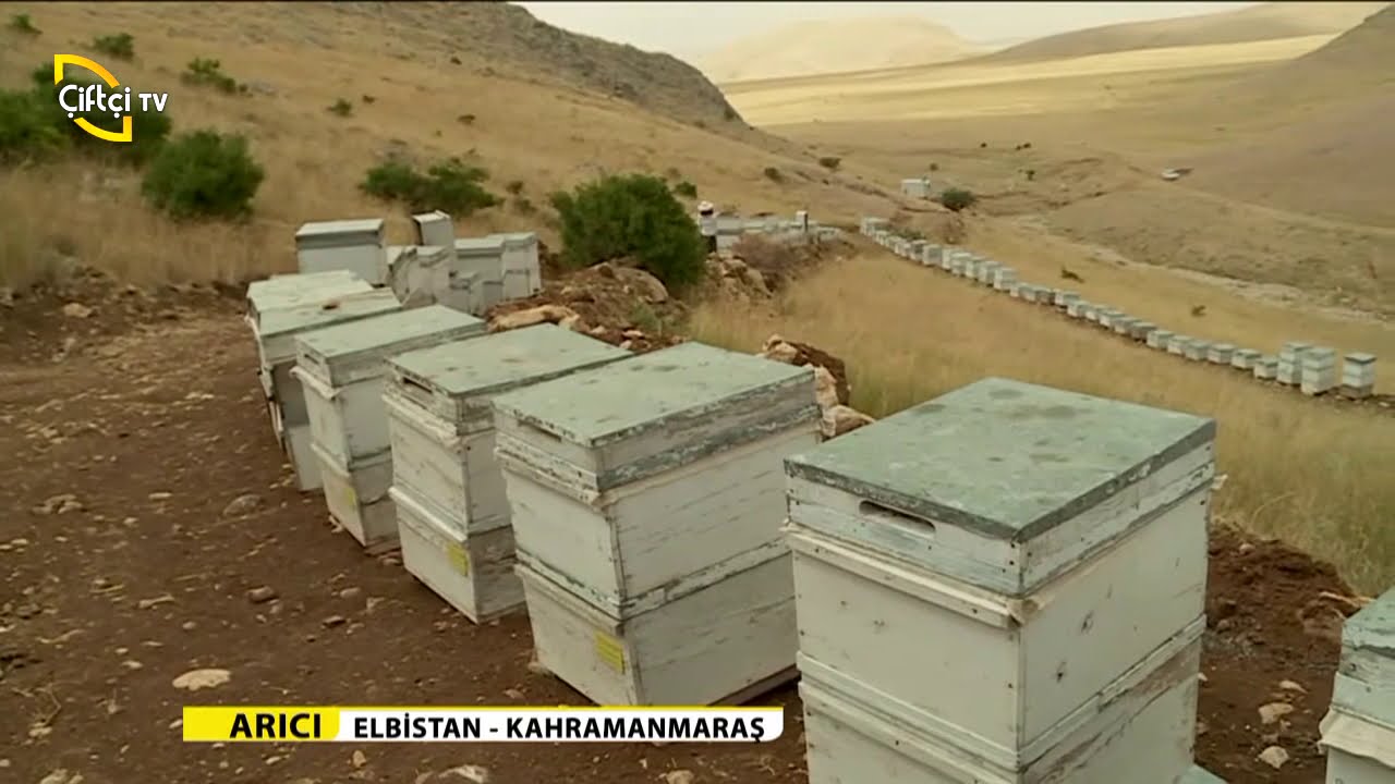 ARICI/5.BÖLÜM-ELBİSTAN/KAHRAMANMARAŞ