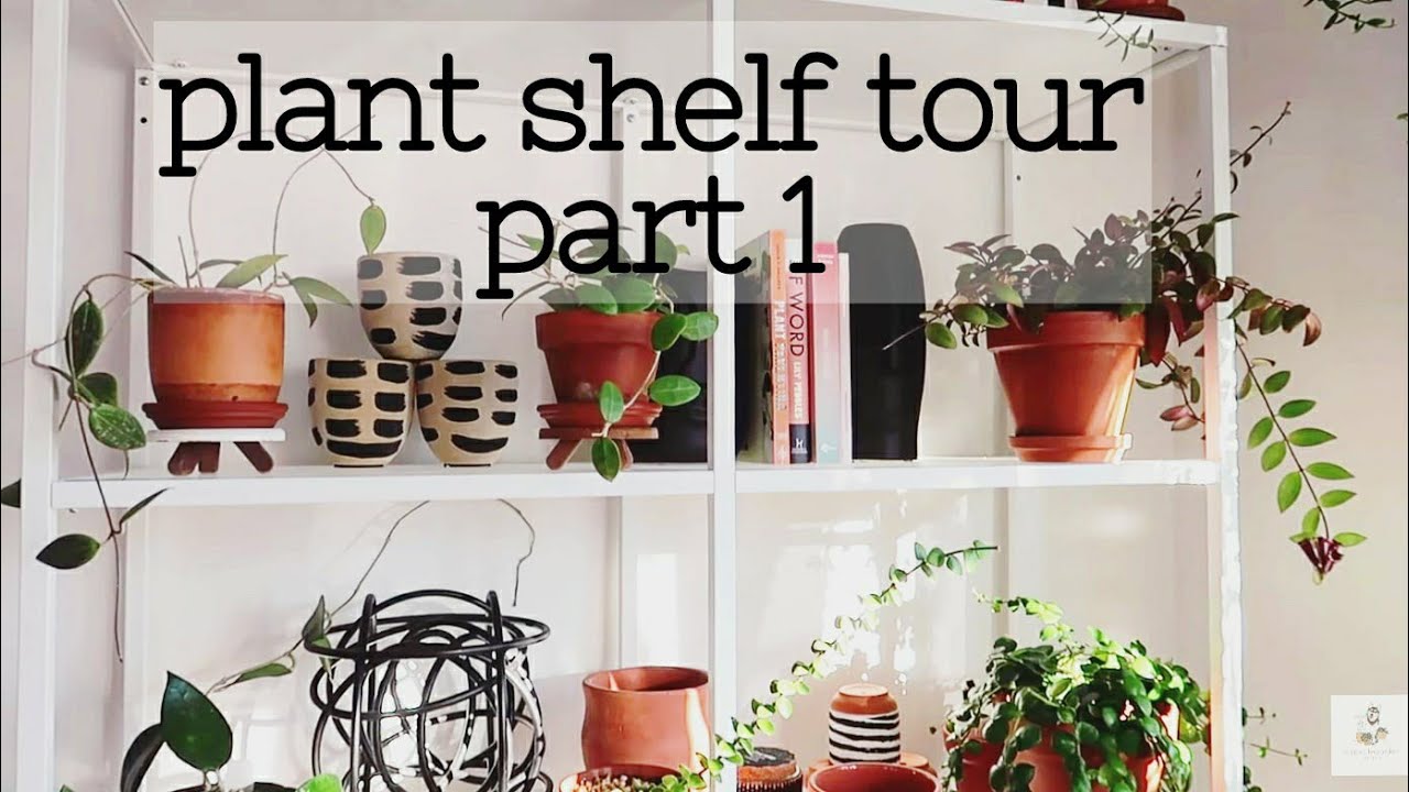 New Home Houseplant Shelf Tour Part 1
