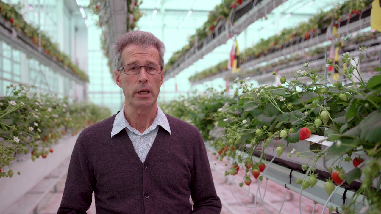 KAS2030 in 7 stappen uitgelegd: Aardbei