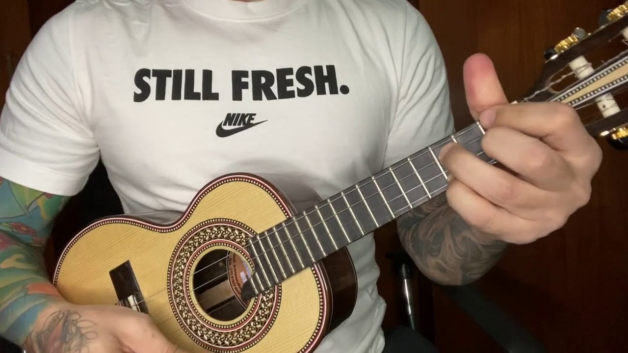 Tocando Pagode do Presença no Cavaquinho | Fã de carteirinha - Meu Amor - Idem - Nem de graça