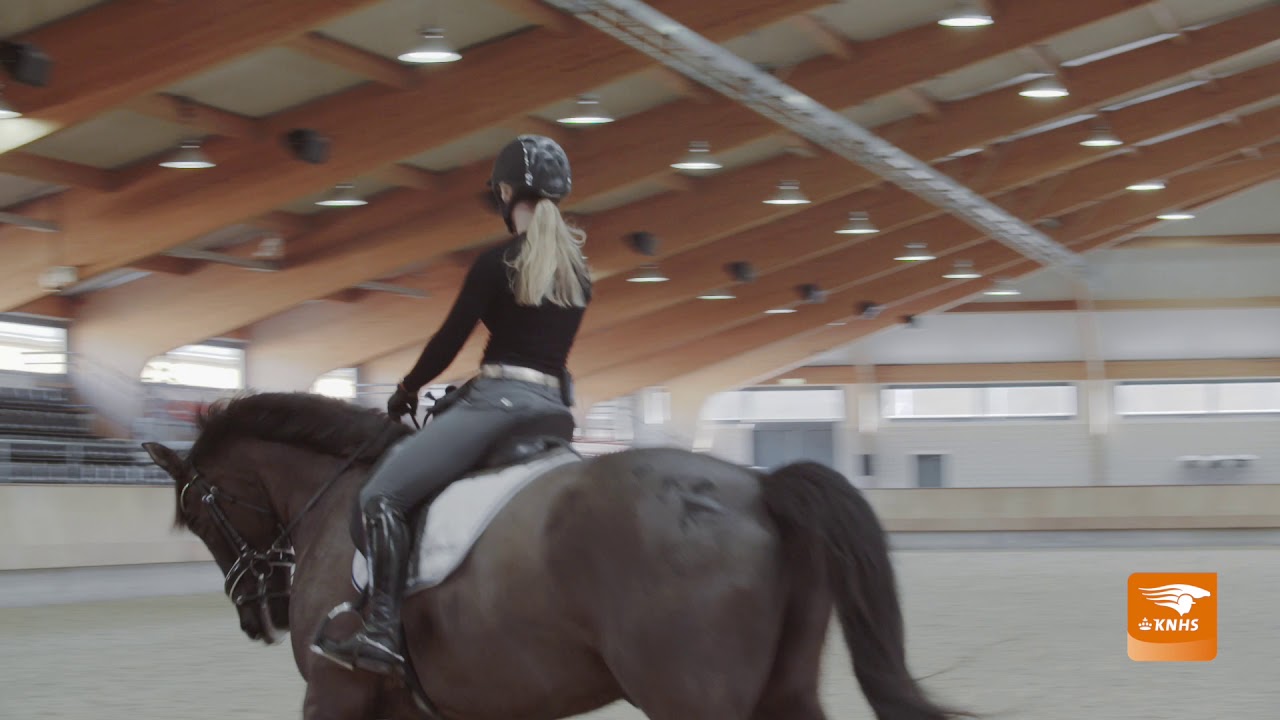 Instructie met Rien van der Schaft; Pirouettes, passage en piaffe