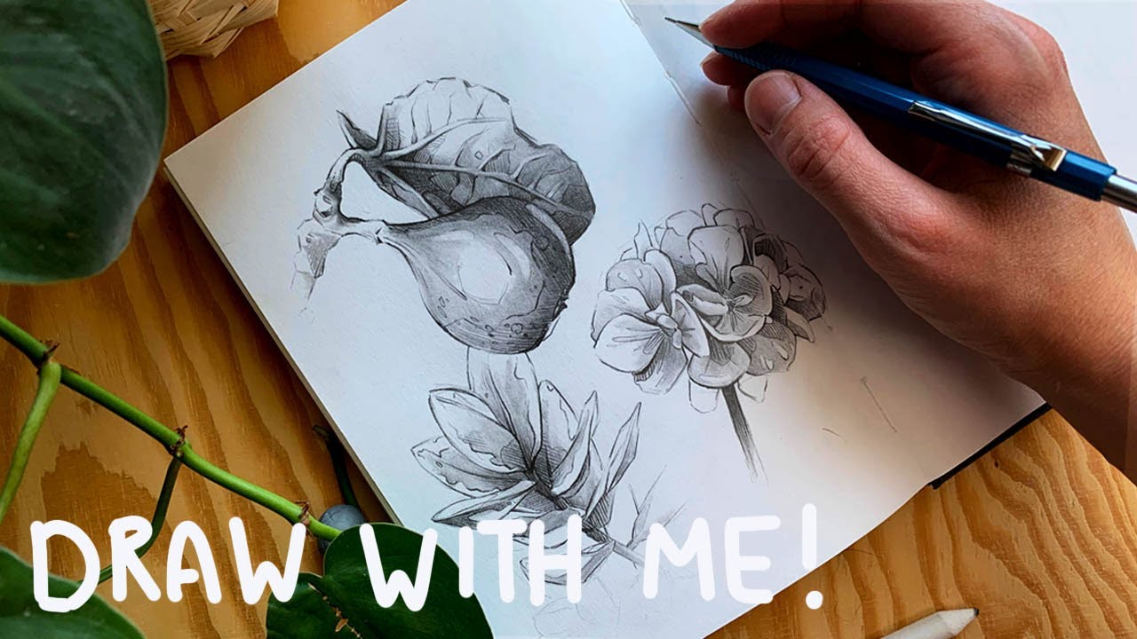 Realtime Botanical Sketches - Draw with me! #3