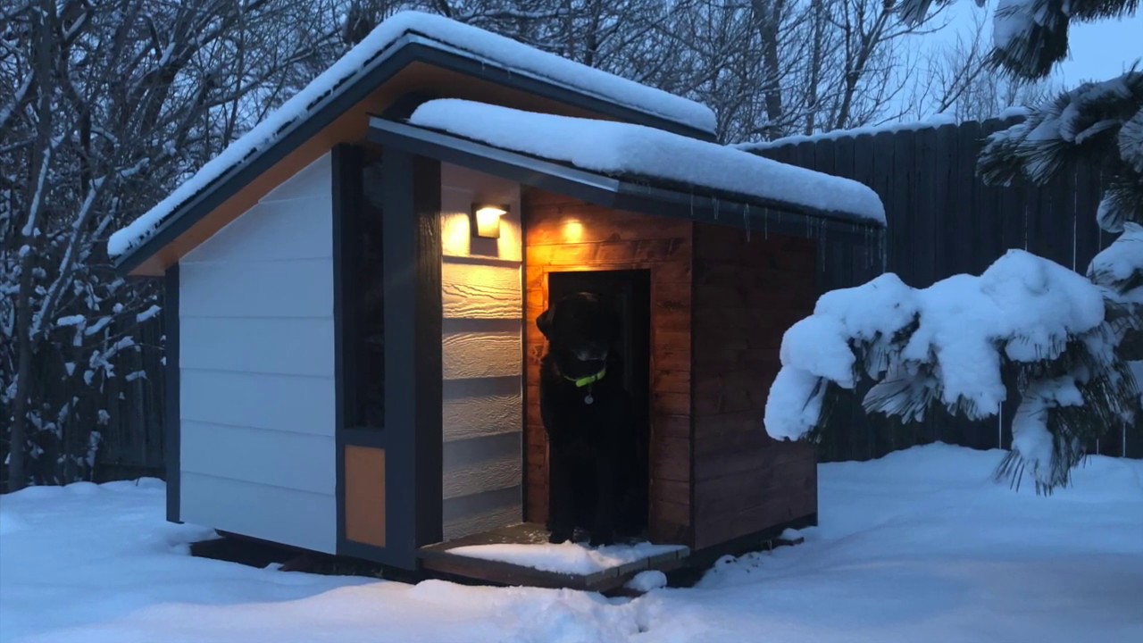 Modern Dog House Build