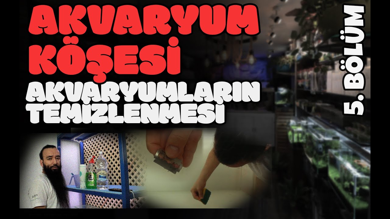 Akvaryum Köşesi Kurulumu - 5. Bölüm - Akvaryumların Temizlenmesi