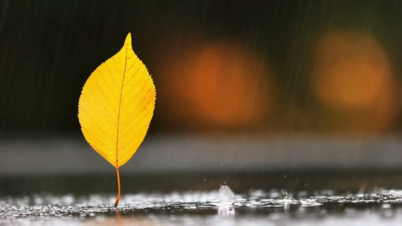 Relaxing Guitar Music for Stress Relief, Calm Music for Sleep