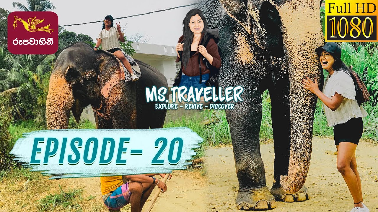 Ms. Traveller | Episode - 20 | Pinnawala | පින්නවල | 2022-04-09 | Travel Magazine | Rupavahini