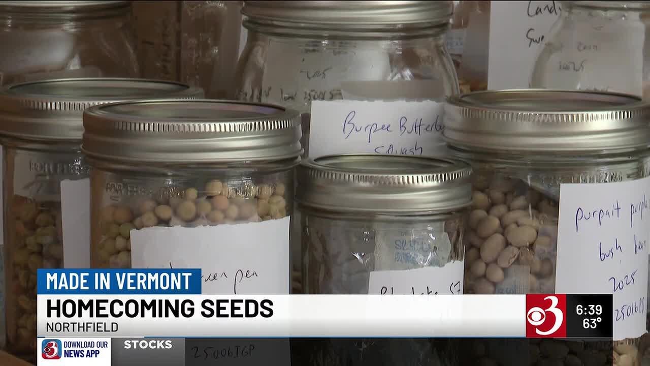 Made in Vermont: Homecoming Seeds