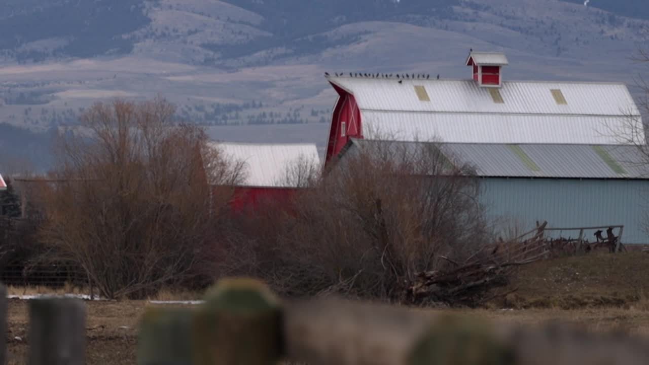Groff Family conserves more than 600 acres near Victor