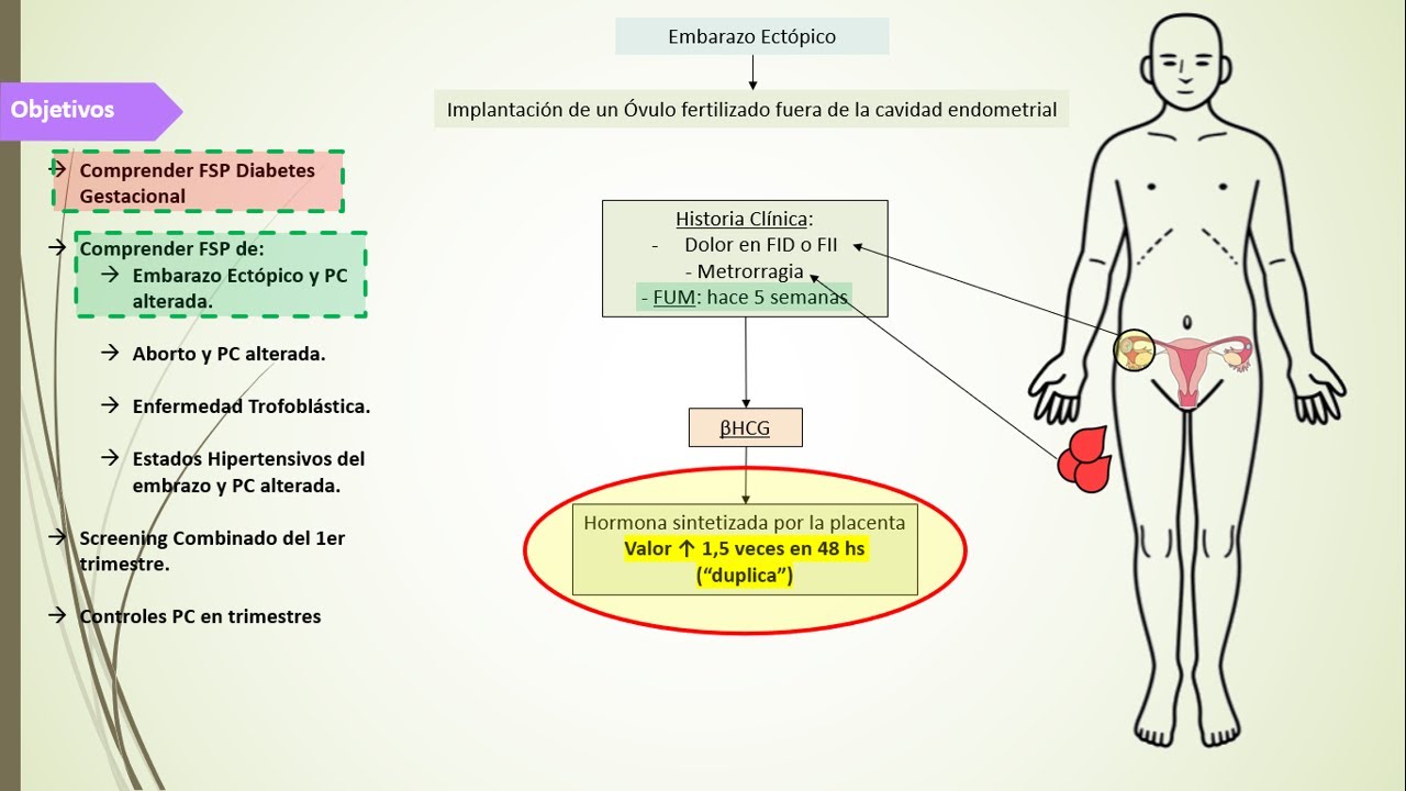 5) Fisiopatología Ginecológica y Obstétrica