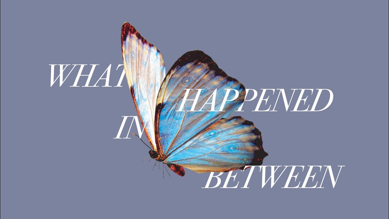 What Happened In-Between