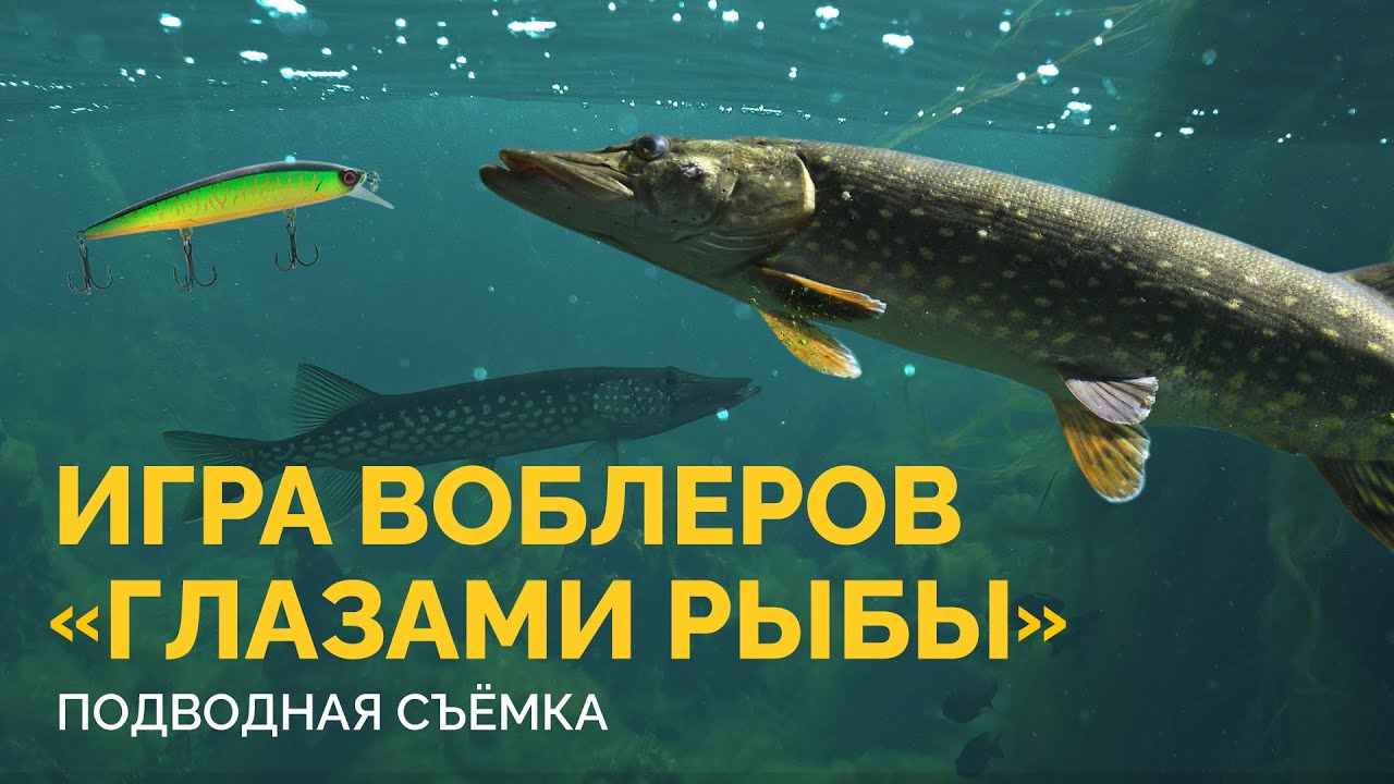 Игра воблеров  