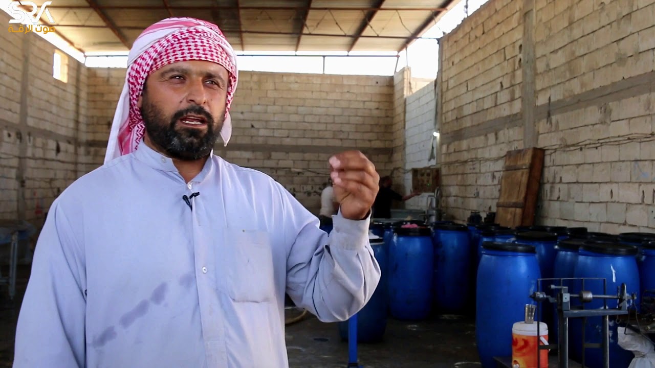 صناعة الألبان والأجبان في ريف الرقة