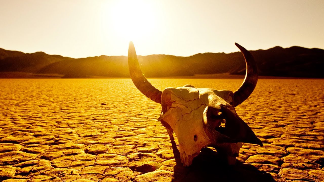 Harsh Environments