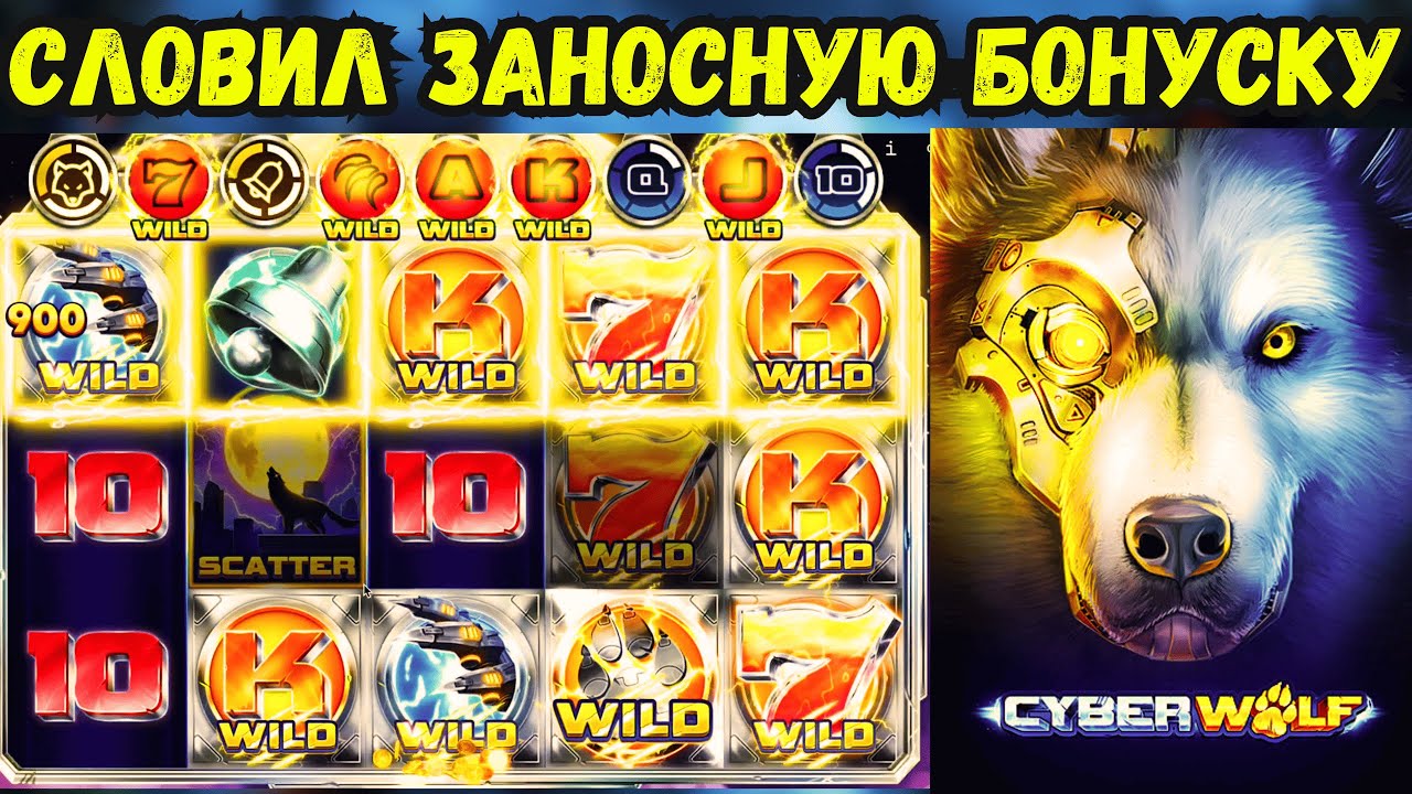 ВЫБИЛ ЗАНОСНУЮ БОНУСКУ В CYBER WOLF | ЗАНОСЫ НЕДЕЛИ | БОНУС БАЙ | ВОЛК ИГРАЕТ