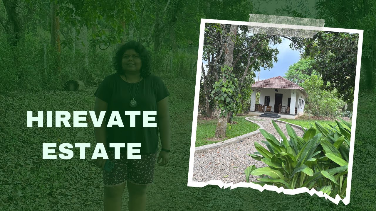 Hirvate Estate | Crawford's House | Hassan Homestay | Watehole Dam | Homestay near Sakleshpur