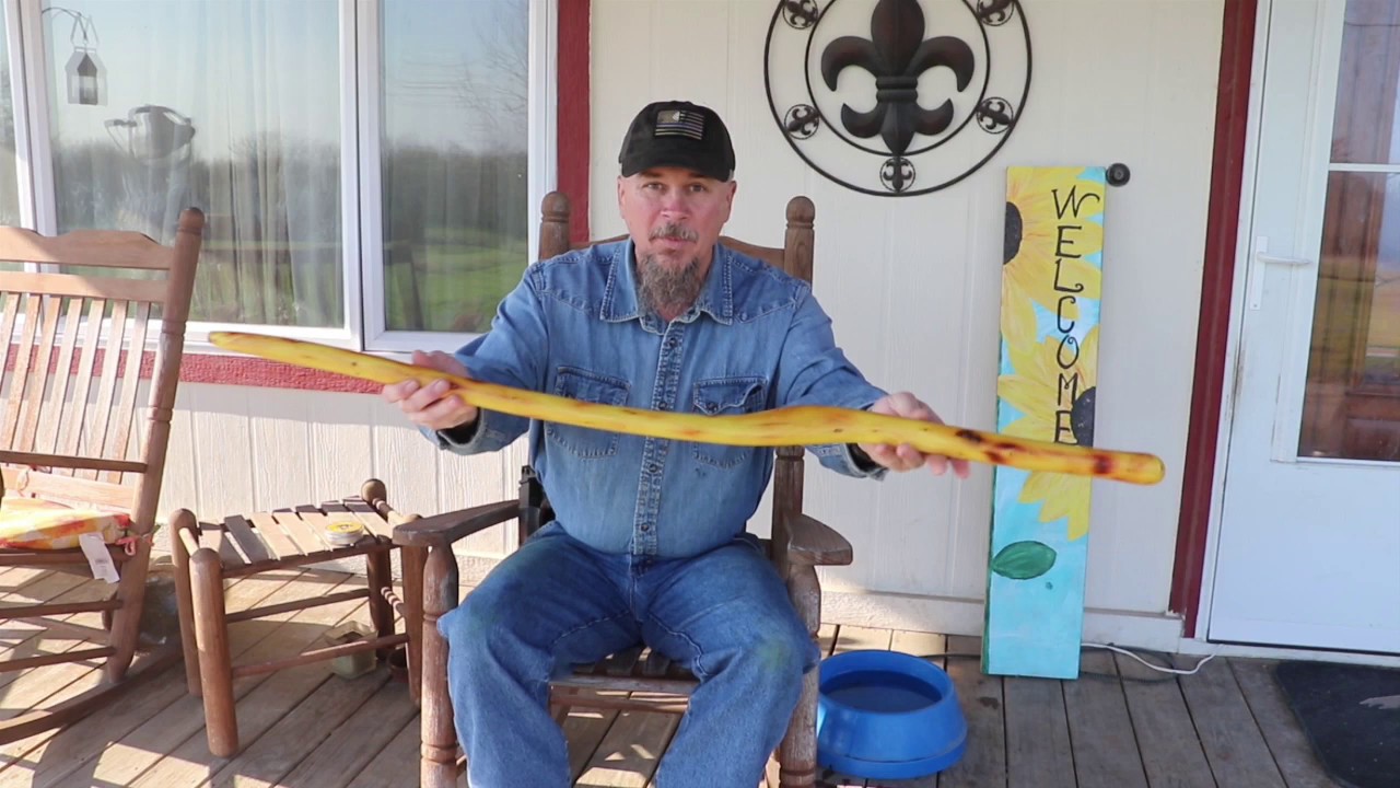 Making a walking cane from Osage Orange.