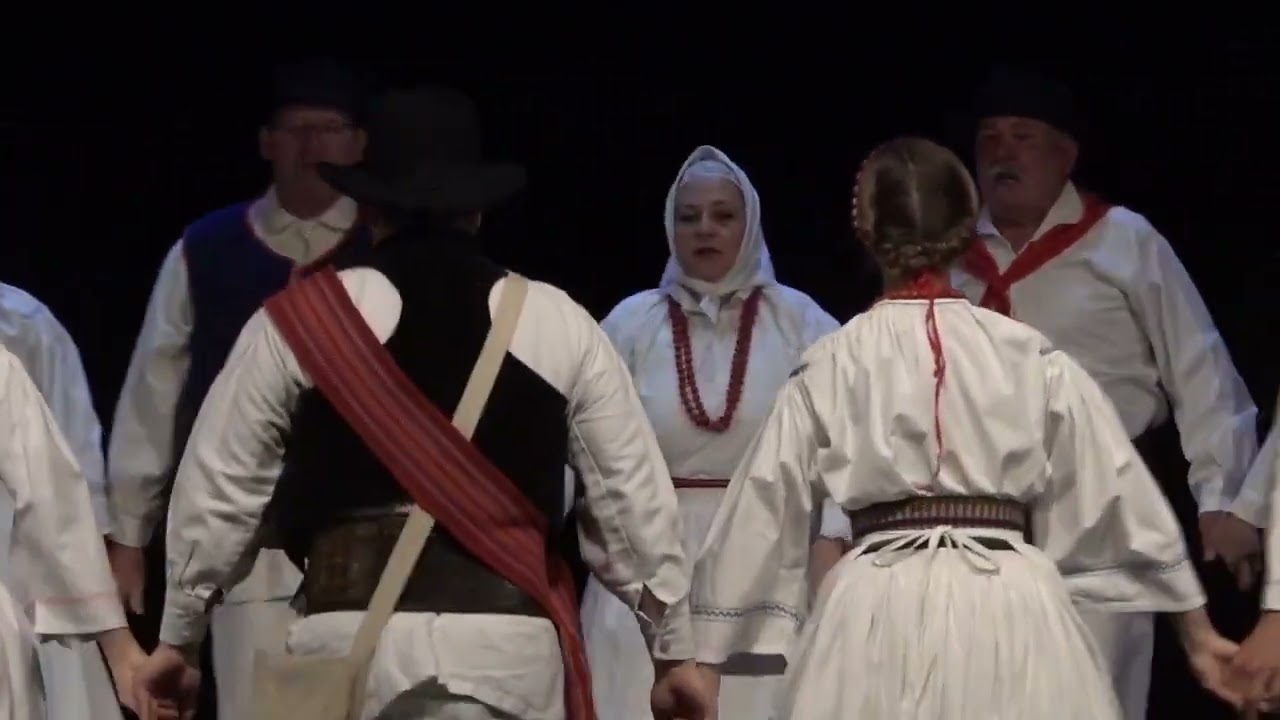Folklorna skupina Sava Kranj - Belokranjski pir