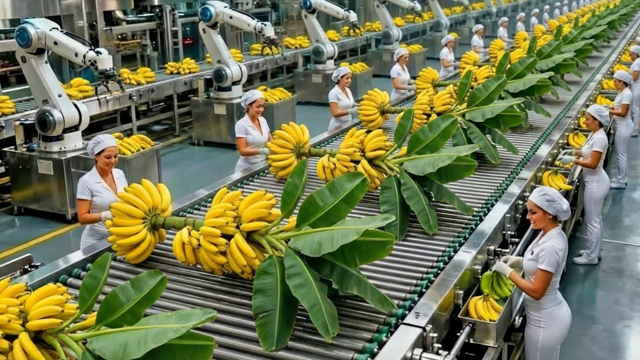 From Waste to Wealth: Amazing Banana Fiber Manufacturing Process! 🍌➡️👜