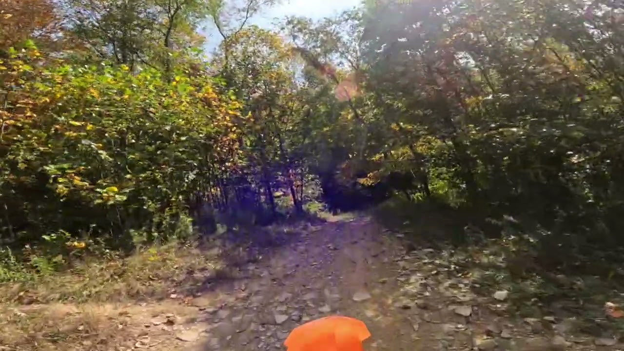Partial Trail 300 Loop - Beginner - ICV ATV Club