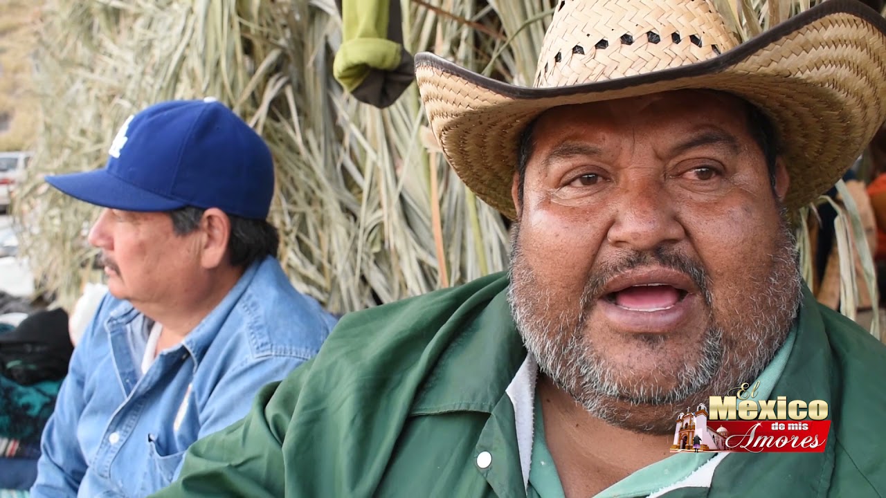 7 Pasos de Los Fariseos Chapayekas En El Coloso Alto