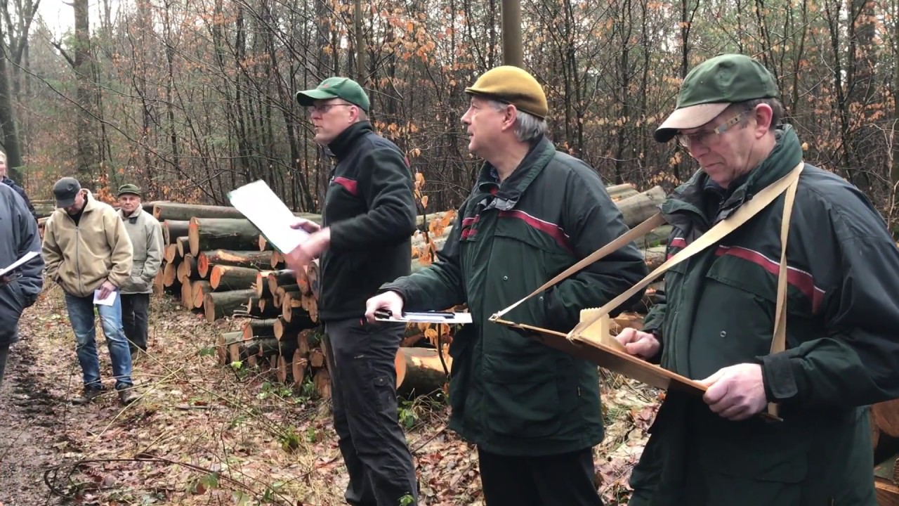 Brennholzversteigerung im Forstamt Nienburg