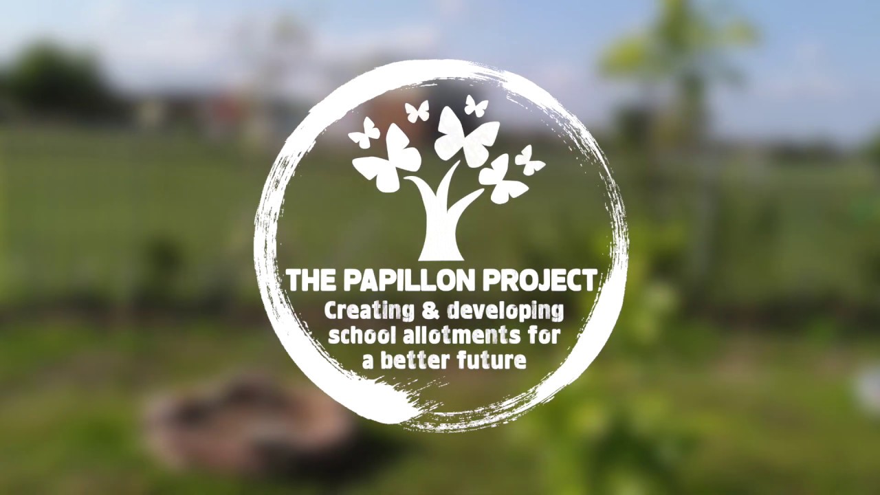 Spowston Community Academy Allotment  Virtual Tour