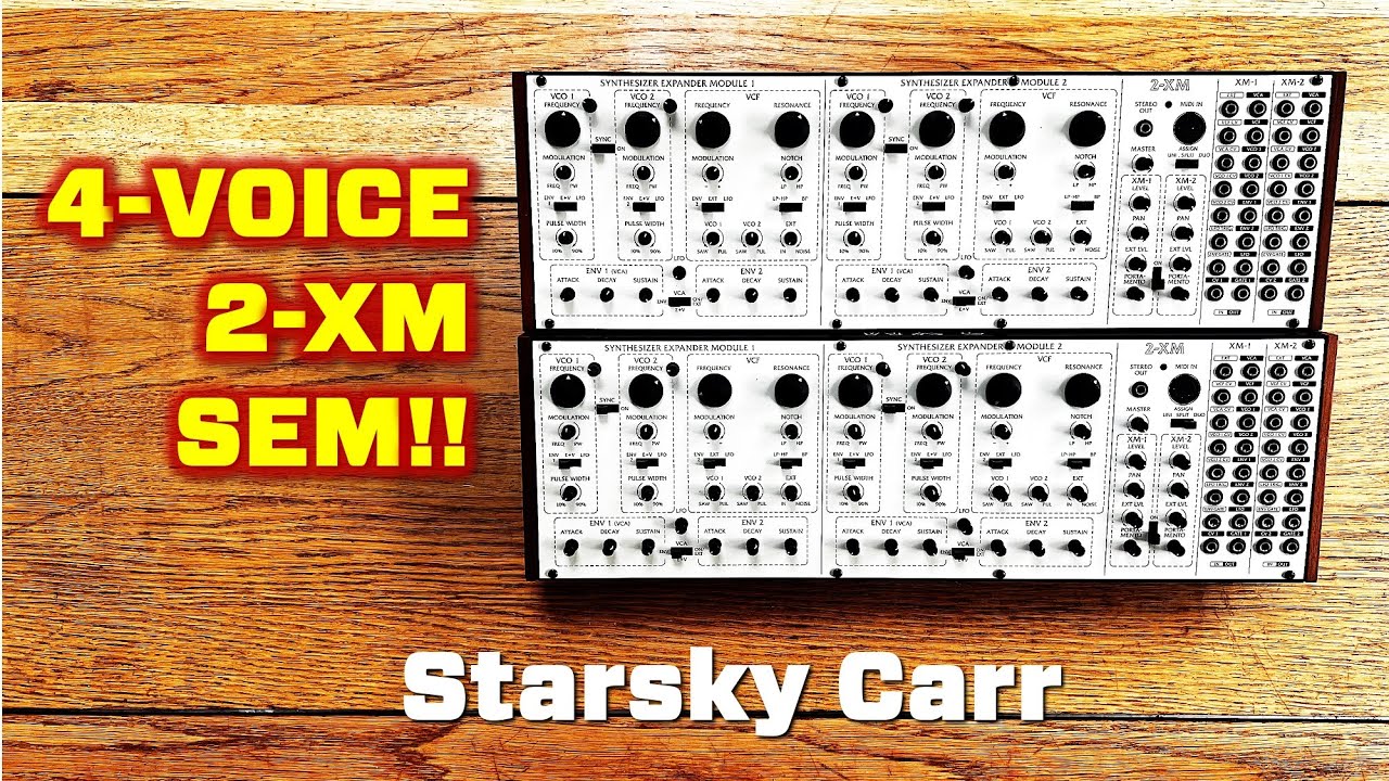 4 Voice SEM!! //Behringer 2-XM Polychained