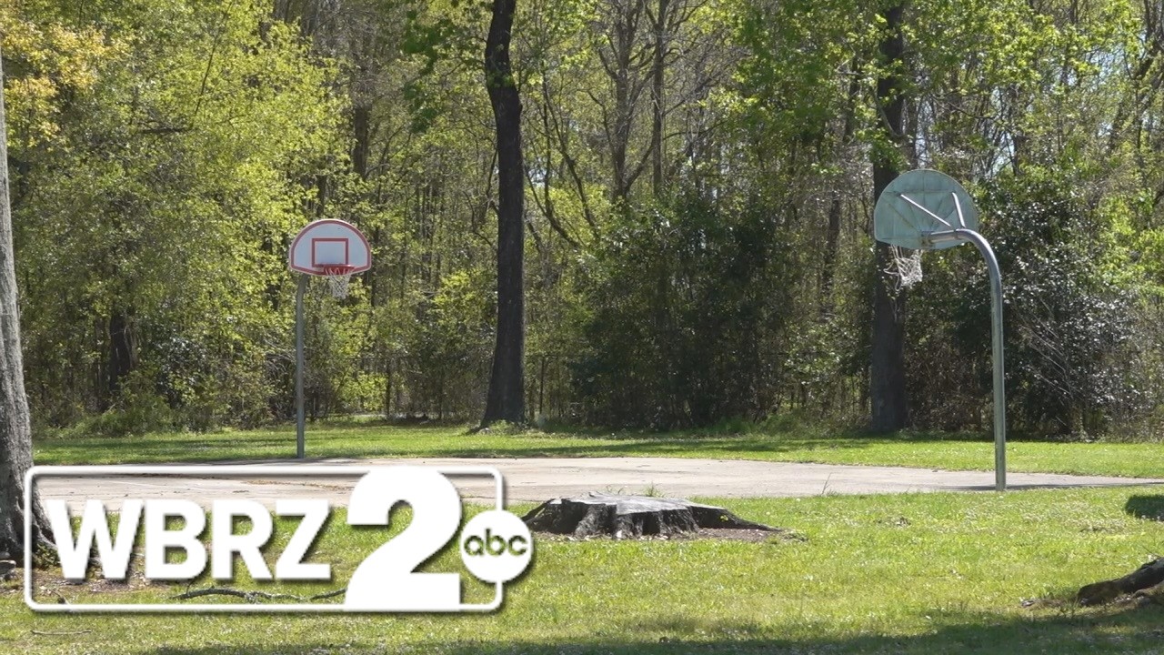 Жители и лидеры общины выступают против возможного закрытия общественного парка.