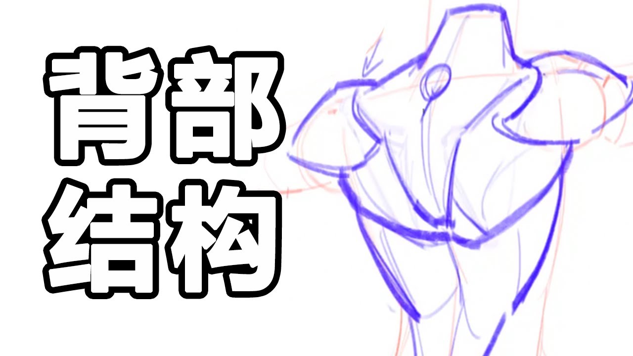 一些画背部结构的小心得