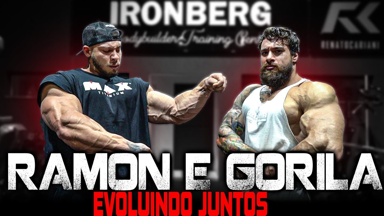 GORILA PEDE AJUDA PARA O RAMON DINO!!!