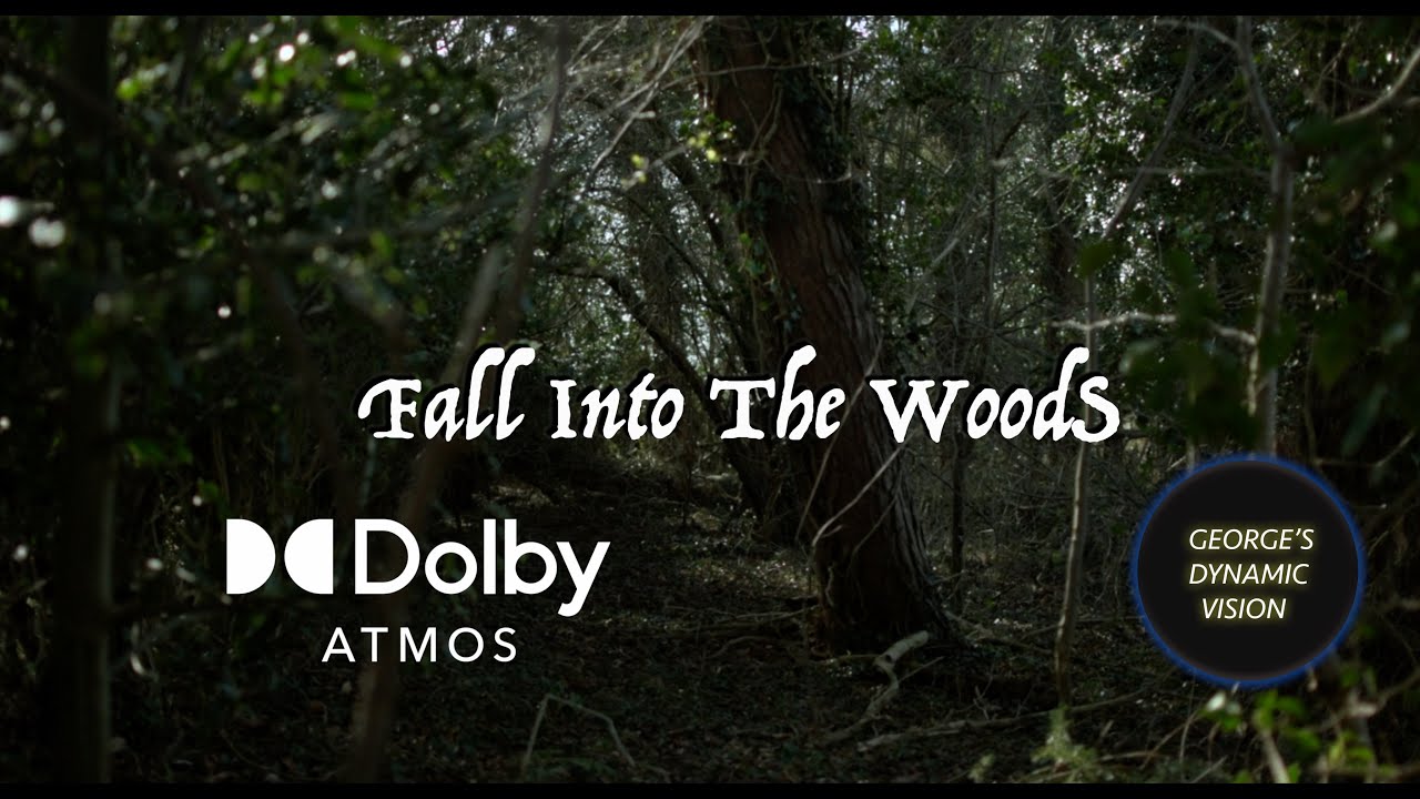 Short Horror Film | Fall Into The Woods | 8K HDR | DOLBY ATMOS