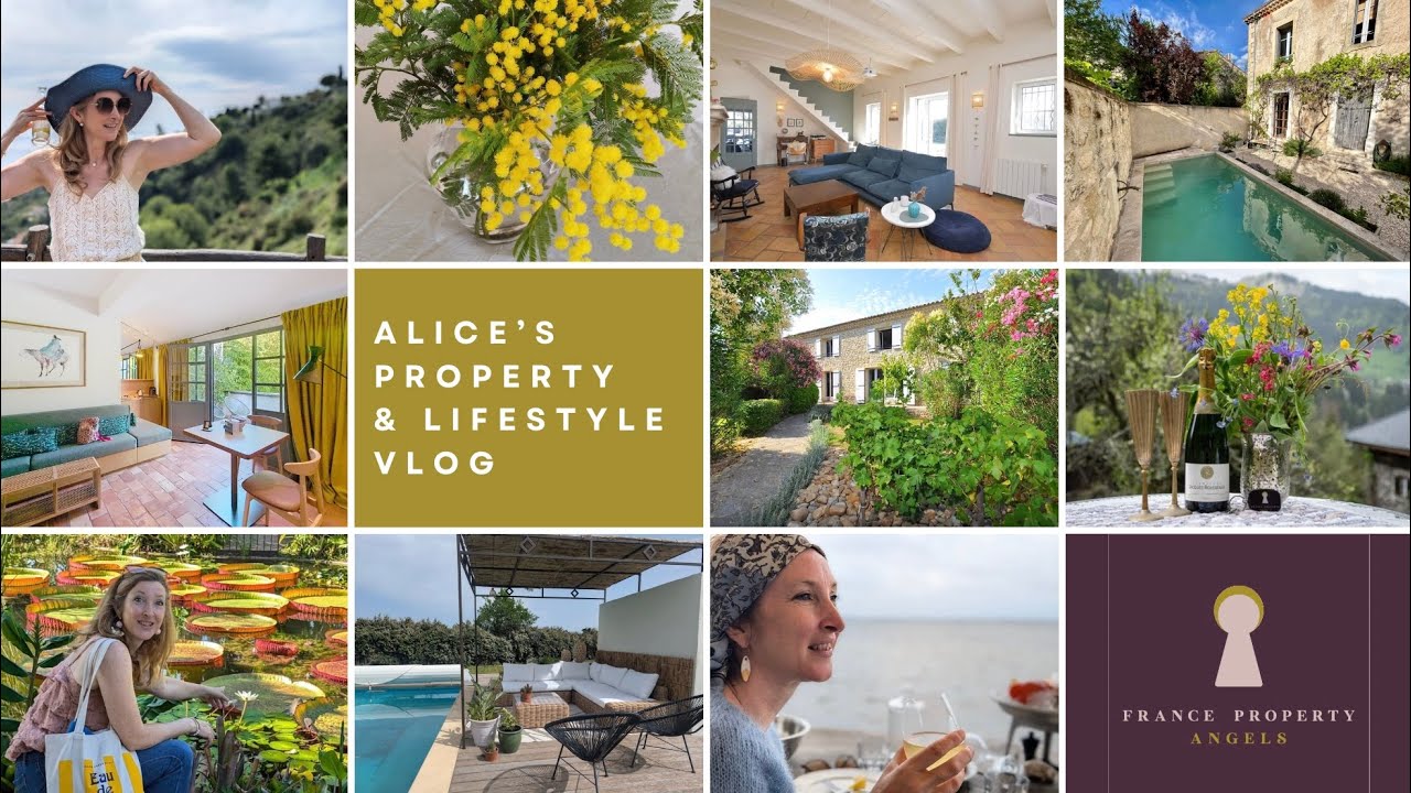 Property & Lifestyle  - Uzes Properties, Oliveraie Jeanjean - VLOG_1