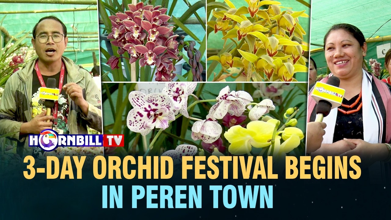 3-DAY ORCHID FESTIVAL BEGINS IN PEREN TOWN