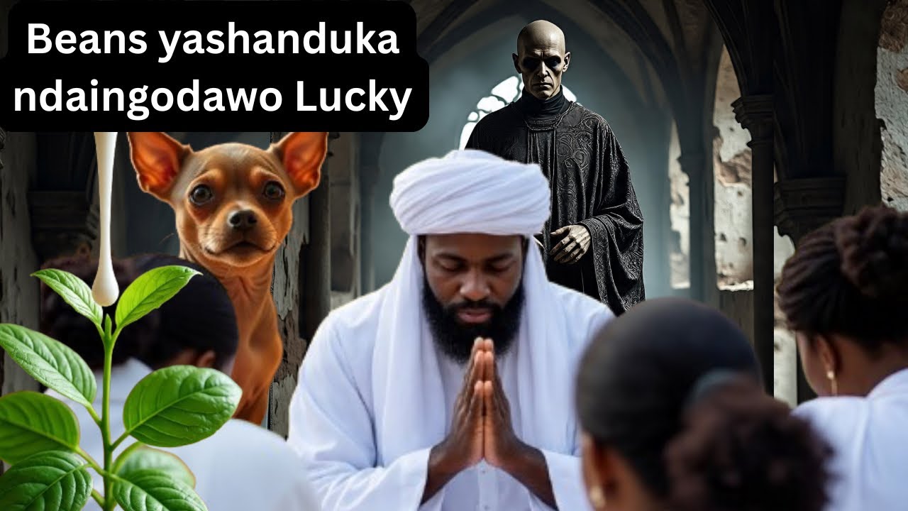 Zvakatangira pakupuwa Beans nhatu na Madzibaba| A Faceless Man|Chibereko Chembwa