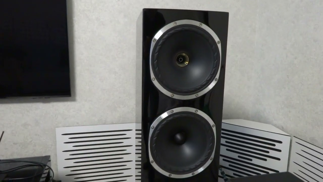 Mark Levinson 5805, Aurender A10, Fyne Audio F502SP, Cardas, Stealth Audio(1)