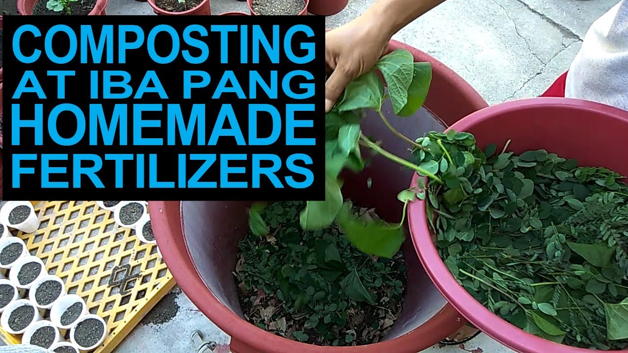 Composting At Iba Pang Homemade Fertilizers