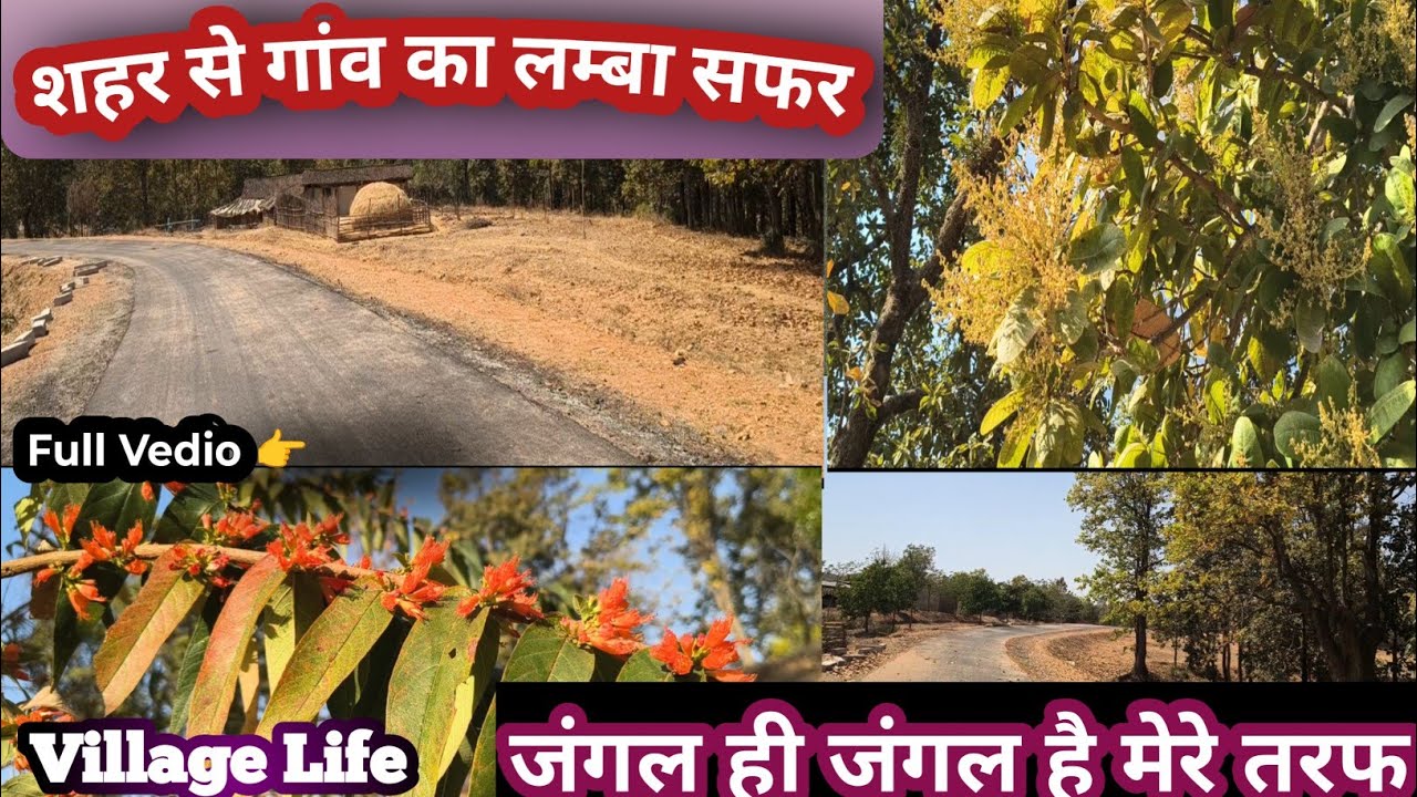 मैं कैसे घर पहुंचती हूं देख लो😱#सफर #जंगल ही जंगल #Full Vedio#Vlogging Vedios#MLKVlogsRaimer