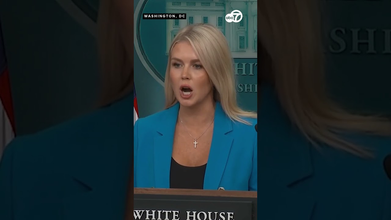 'What a stupid question': Karoline Leavitt reacts to reporter's question about parade protests