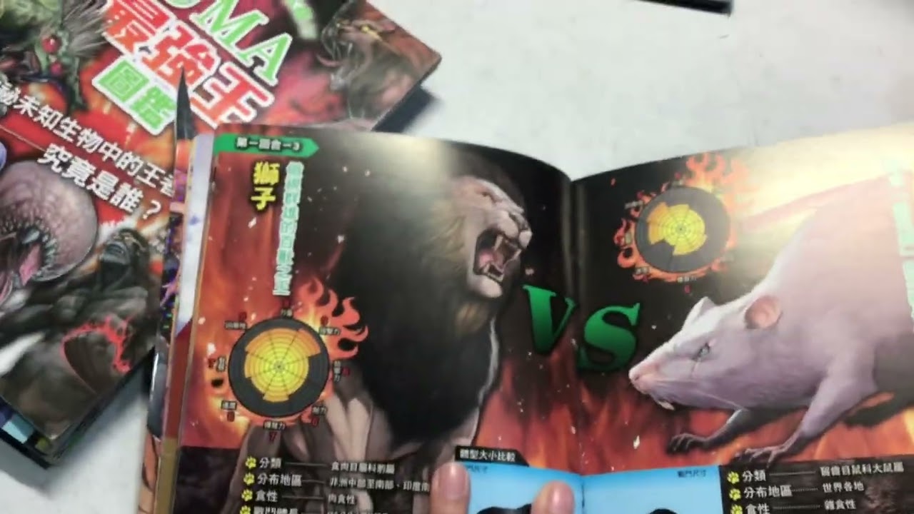 動物最強王圖鑑PFP第一回合合+示範賽1