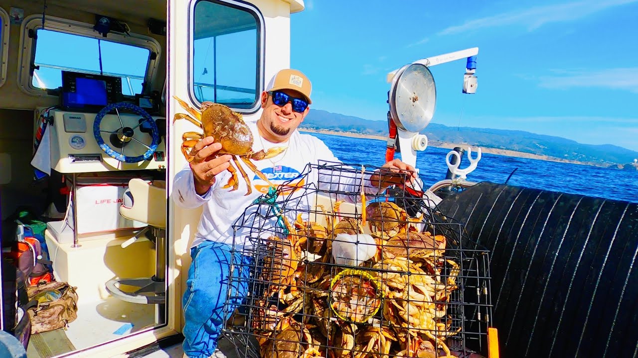 MASSIVE DUNGENESS CRABS! ~Catch Clean Cook~ OPENING SEASON (Underwater View)